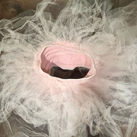 Light Pink Ballet Tutu - Picture 2 of 3